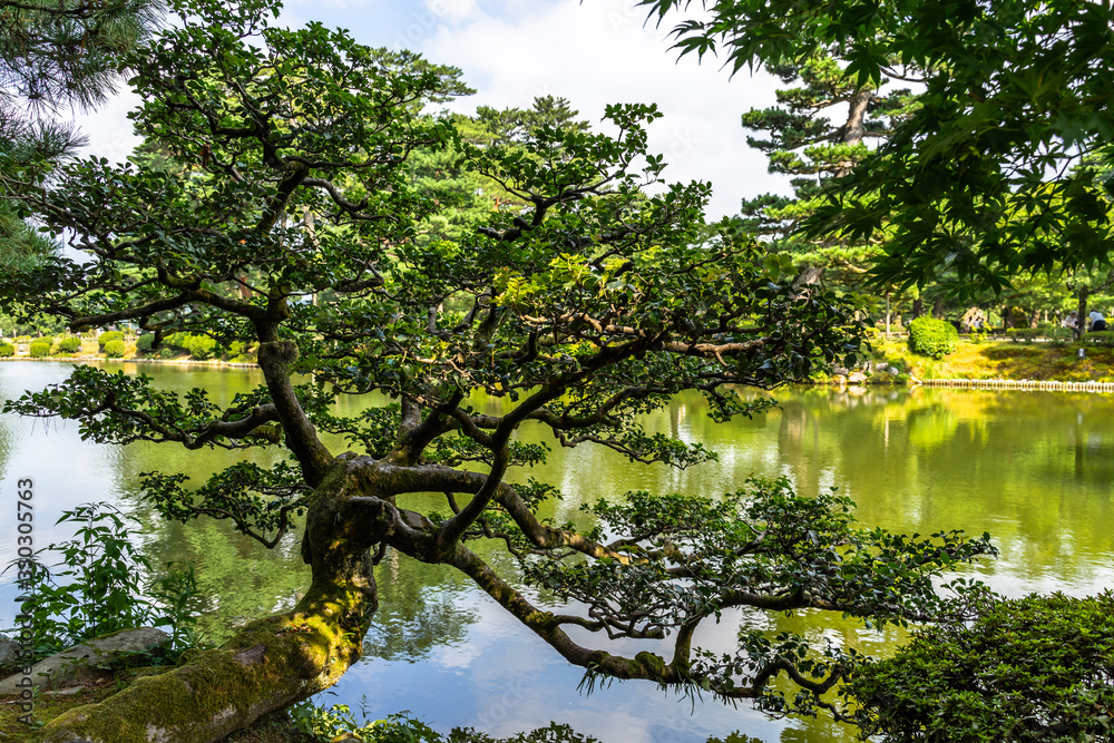 Φωτογραφία Scenic view of Kenrokuen garden in Kanazawa with a curved tree on the shore of t
