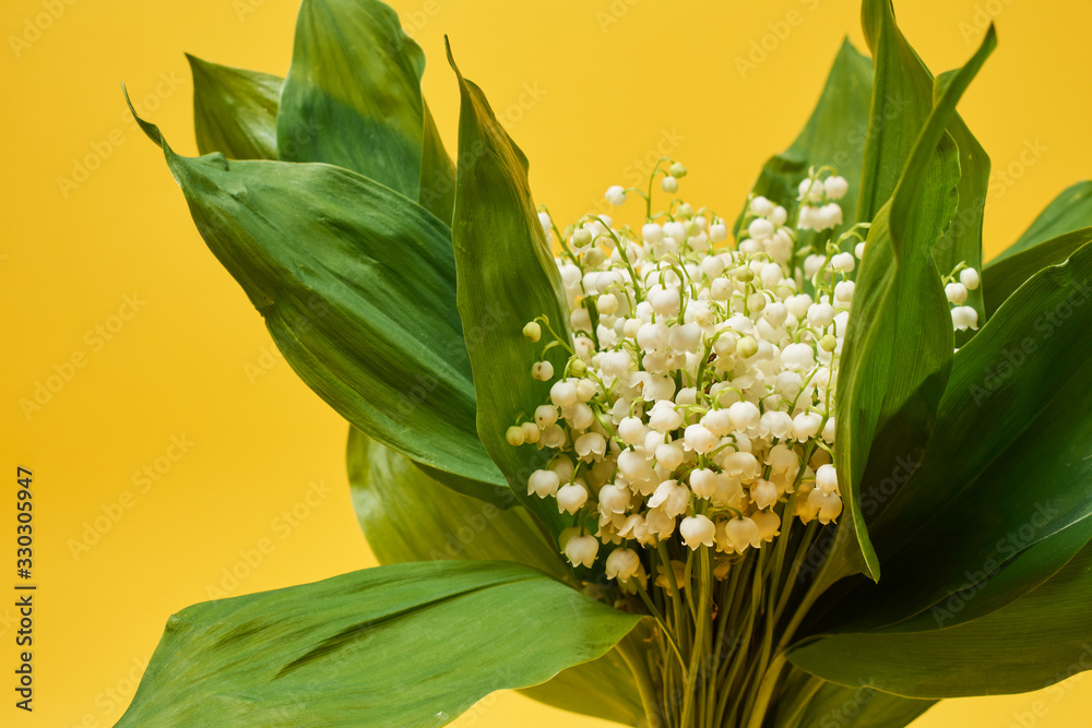 Obraz premium A bouquet of lilies of the valley. A small bouquet of lilies of the valley with white flowers and green leaves