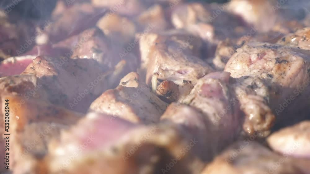 closeup. grilled barbecue on coals in smoke. picnic. closeup. grilled barbecue on coals in smoke. picnic.