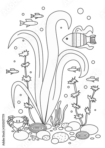 Algae, crab and fish on a white background as a coloring page, outline vector stock illustration with ocean or sea and animal in A4 format