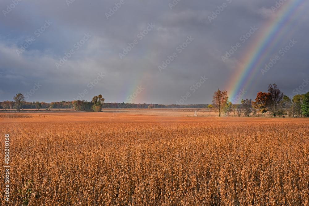 Autumn landscape of brilliant rainbows over trees and soybean field, Michigan, USA Autumn landscape of brilliant rainbows over trees and soybean field, Michigan, USA