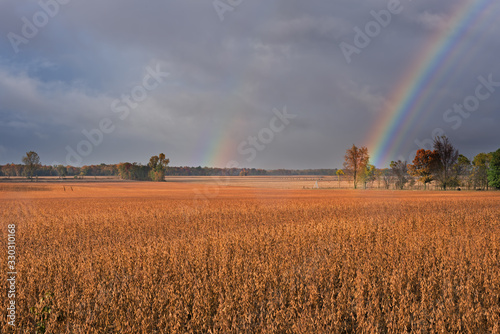Autumn landscape of brilliant rainbows over trees and soybean field, Michigan, USA
