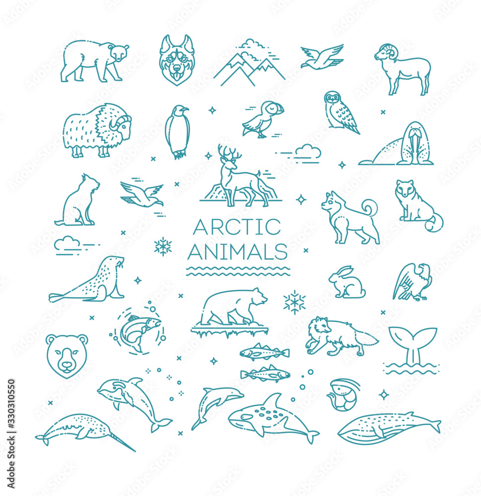 Fototapeta premium Set of linear vector Arctic animals