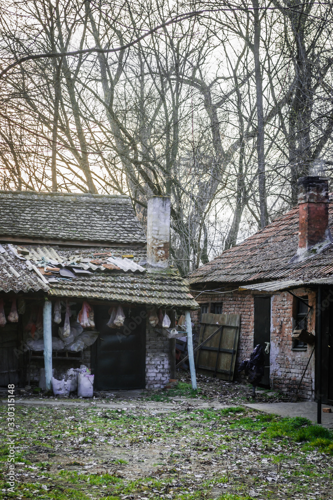 Dilapidated little salas at the edge of the forest Dilapidated little salas at the edge of the forest