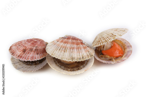 Opened scallops isolated on white