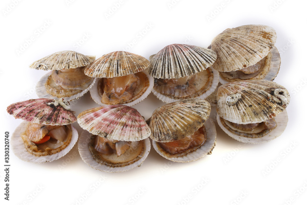 Opened scallops isolated on white