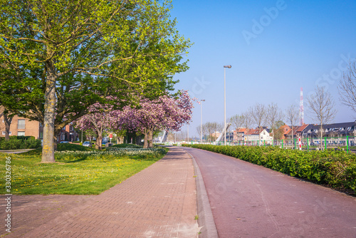 sunny spring day with blooming trees in the suburbs of Bruges, B photo