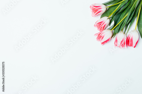Floral background bouquet fresh pink tulips