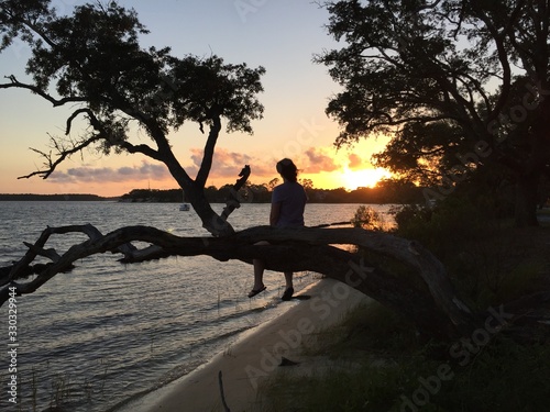 girl sitting on tree branch at sunset