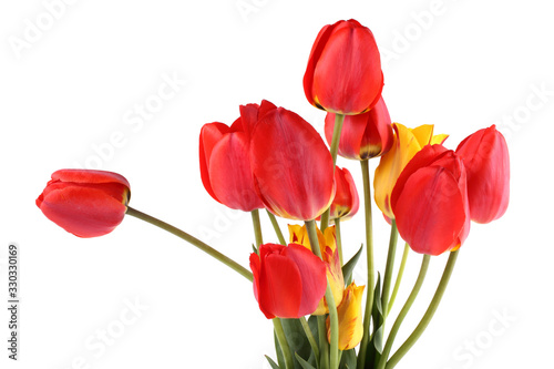 Red and yellow tulips