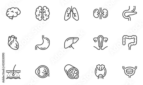 Human Internal Organs Vector Line Icons Set. Anatomy, Brain, Heart, Bladder, Blood Vessel. Editable Stroke. 48x48 Pixel Perfect.