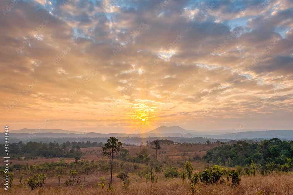 Beautiful forest landscape of foggy sunrise in Thung salaeng Luang National Park (Nong Mae na)