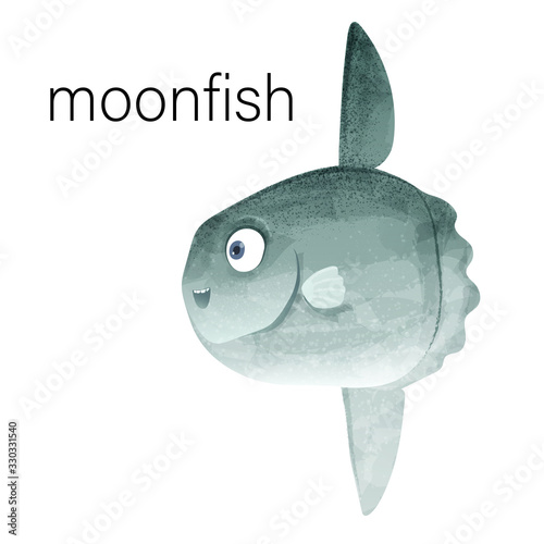 Vector moonfish Sunfish watercolor illustration