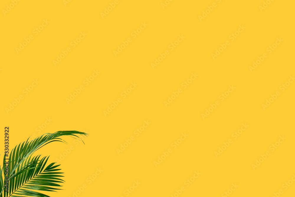 summer frame tropical palm background yellow