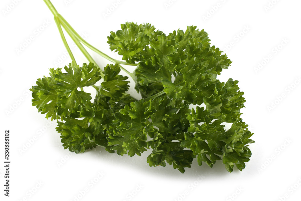 Parsley isolated on white Parsley isolated on white