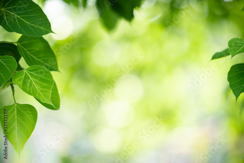 Nature of green leaf in garden at summer. Natural green leaves plants using as spring background cover page greenery environment ecology wallpaper