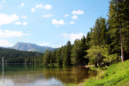 Fototapeta Naklejka Na Ścianę i Meble -  Green Forest Blue Sky Lake Mountain