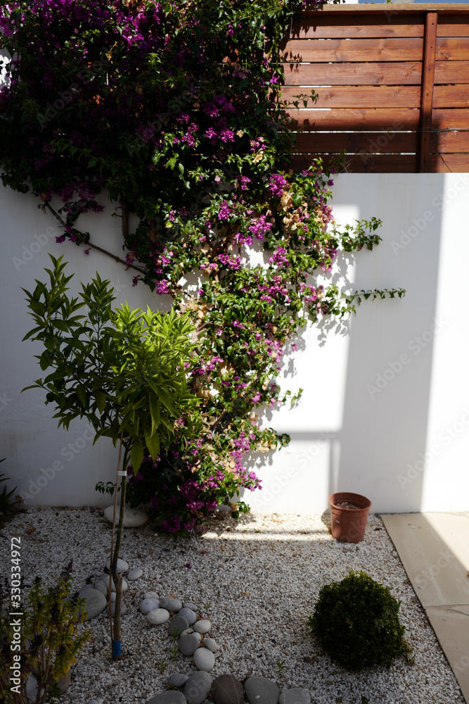 Naklejka premium cityscape cyprus paphos