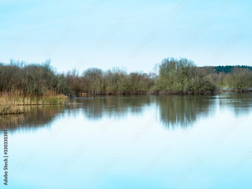 Reflections in the calm waters of the annually flooded wetlands at Wheldrake Ings, North Yorkshire, England