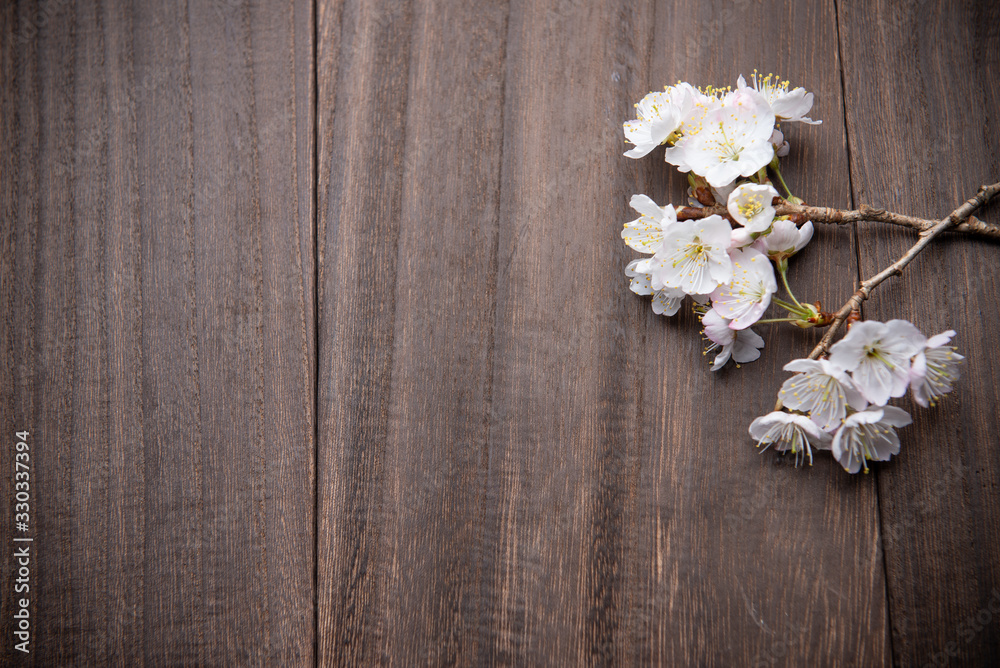桜の花 桜の花