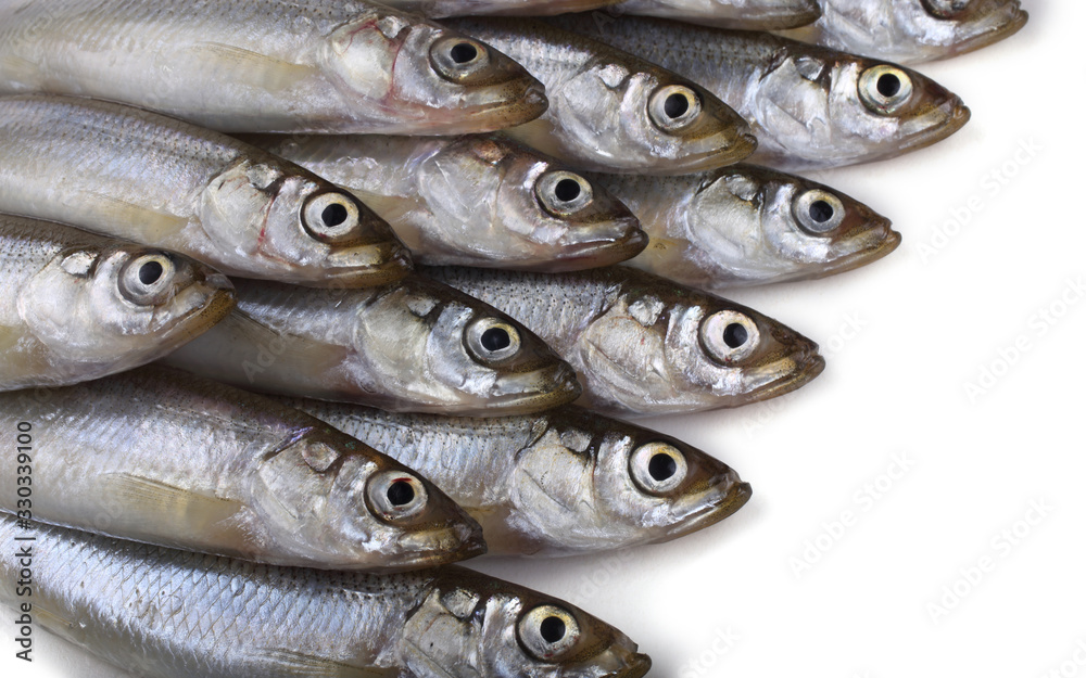 Smelt fishes isolated on white Smelt fishes isolated on white