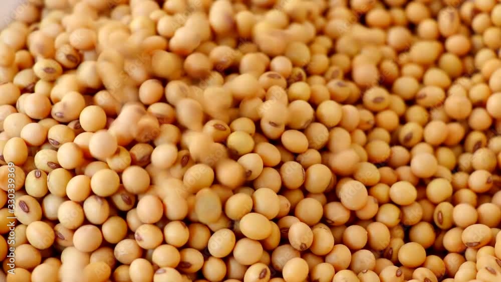 Soybeans heap with soybeans that were poured onto the pile. Soybeans heap with soybeans that were poured onto the pile.