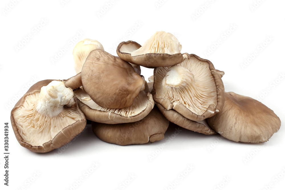 Oyster mushrooms