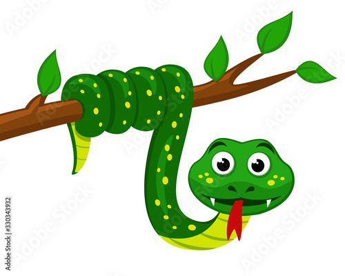 Fototapeta Naklejka Na Ścianę i Meble -  Snake hangs on a tree and shows its tongue. Viper on a white background.