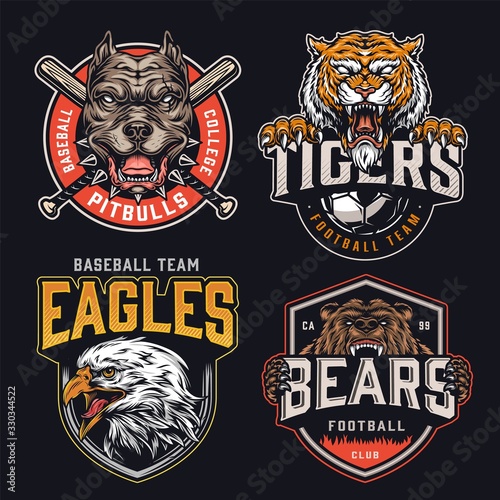 Colorful vintage sports teams logos set