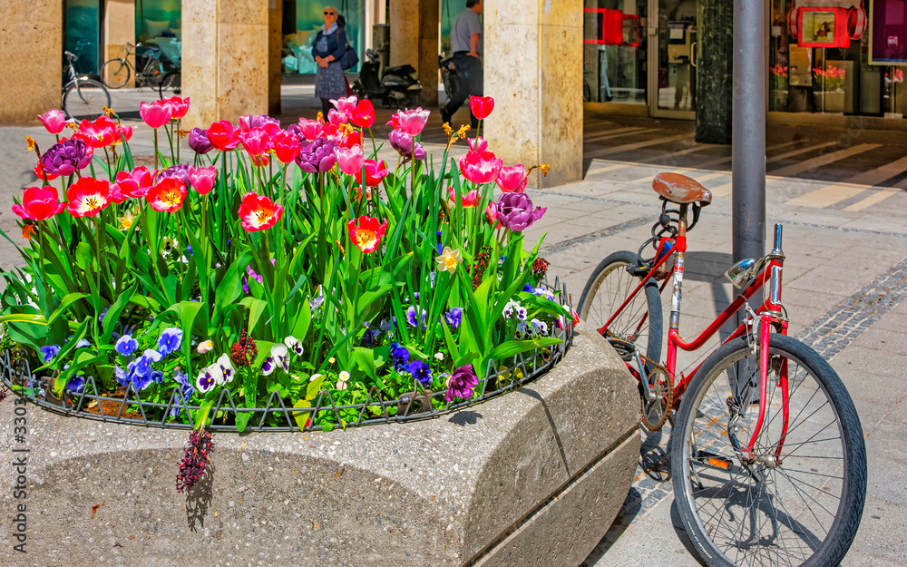 Bicycle parked near street flowerbed and blooming flowers in Munich
