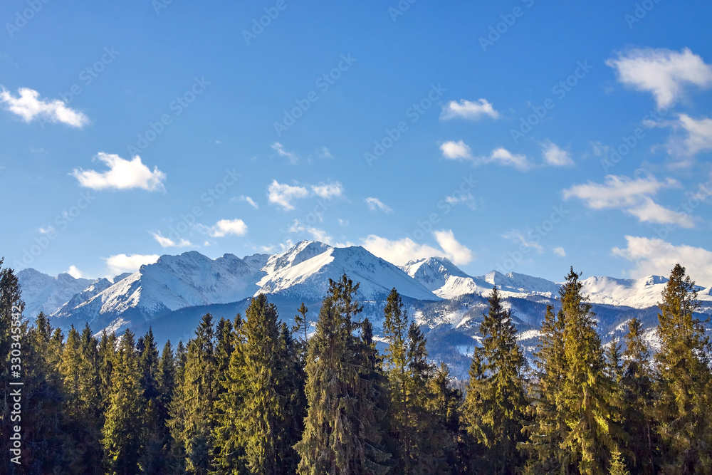 Obraz premium Tatra Mountains panorama seen from Glodowka Glade (Polana Głodówka), Poland