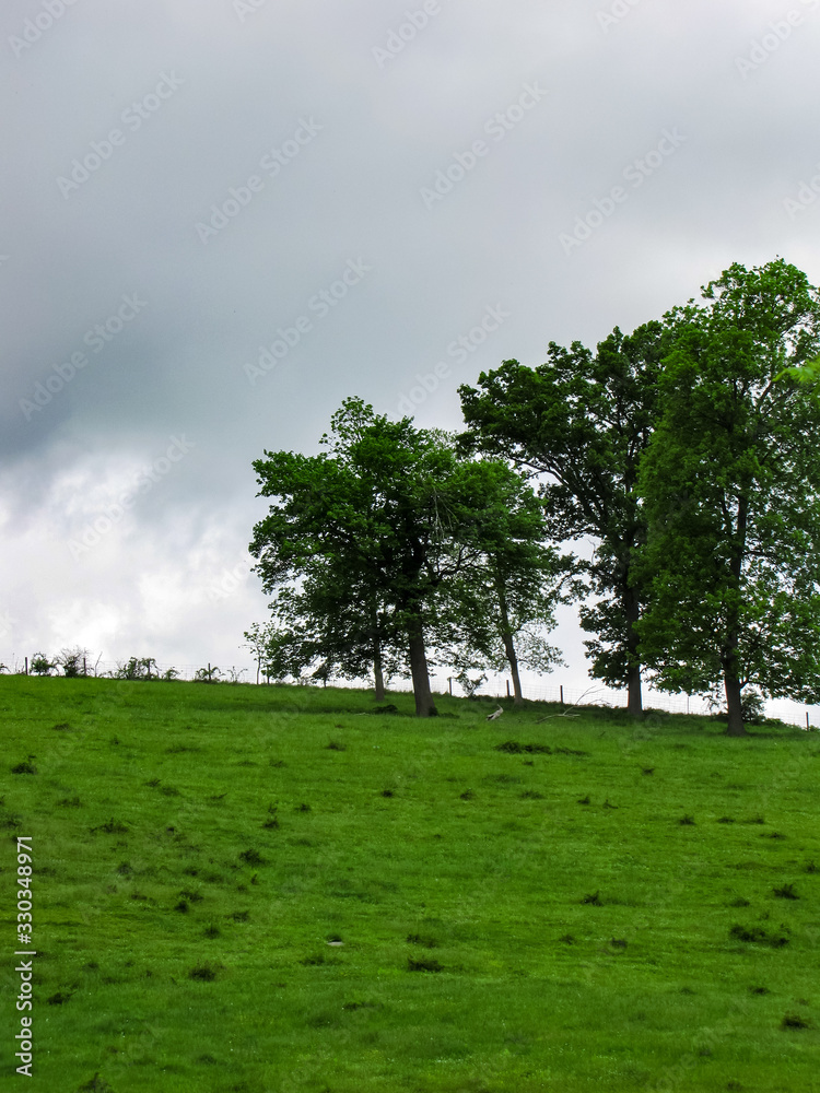 Green Cow Pasture with a Threatening Sky