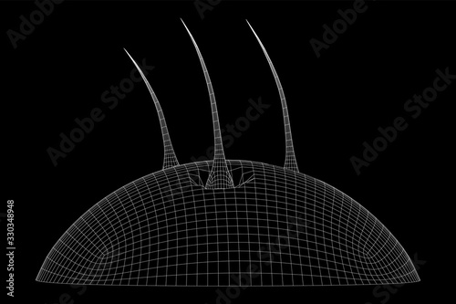 Hair follicle protect care cosmetic technology concept. Hair root structure repair shampoo salon treatment. Anatomy strands medicine trichology. Wireframe low poly mesh vector illustration