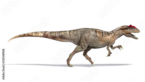Allosaurus dinosaur  side view  3d illustration.