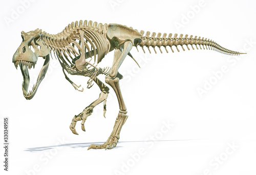 T-Rex full skeleton in dynamic pose. 3D illustration. © matis75