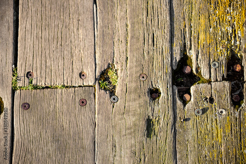 Close-up of brown weathered boardwalk planks background. photo