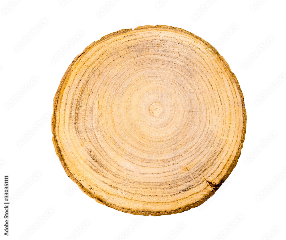 Obraz premium Wood slice with with growth rings isolated on white. Natural smooth wood texture.