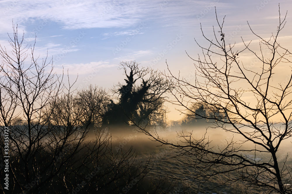 Silhouette of trees and branches in winter morning with mysterious and spooky fog in background fields at sunrise Silhouette of trees and branches in winter morning with mysterious and spooky fog in background fields at sunrise