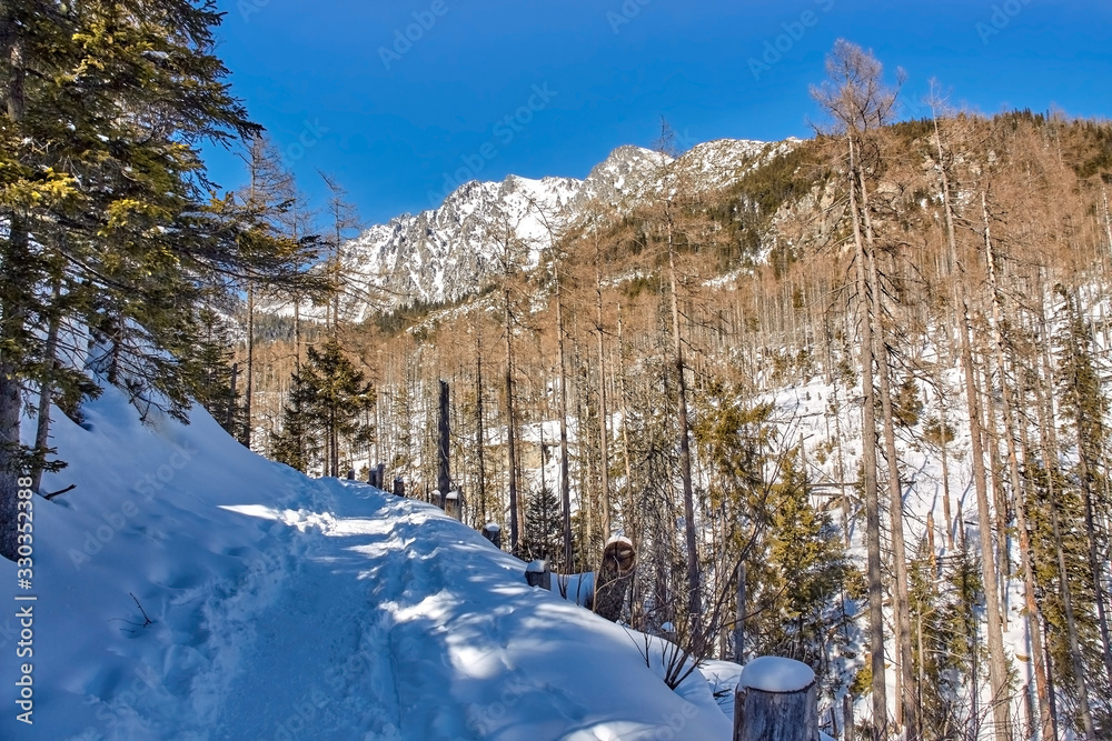 Mountain trail towards Cold Creek Waterfalls in High Tatras, Slovakia