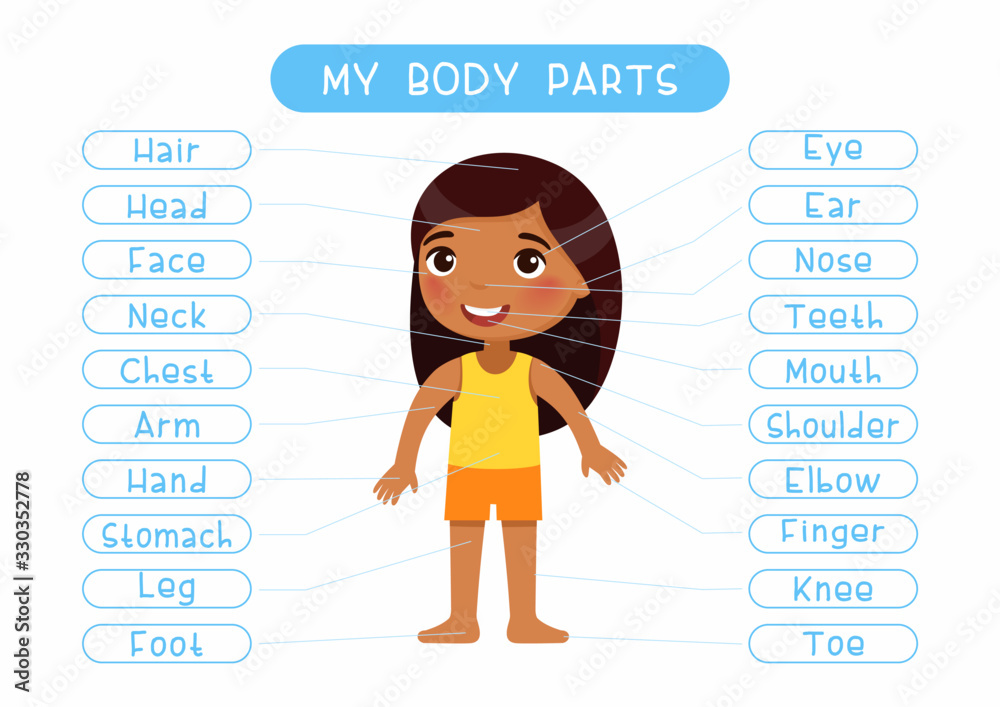 My body parts educational infographic kids poster vector template. Cute girl  showing external organs names. Cartoon anatomy childish printable banner  design, english words learning card layout Stock Vector | Adobe Stock