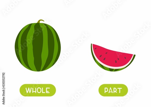 Educational english memo card with antonyms flat vector template. Kids cards for foreign language learning concept. Opposites, whole, part words. Cartoon watermelon illustration with typography