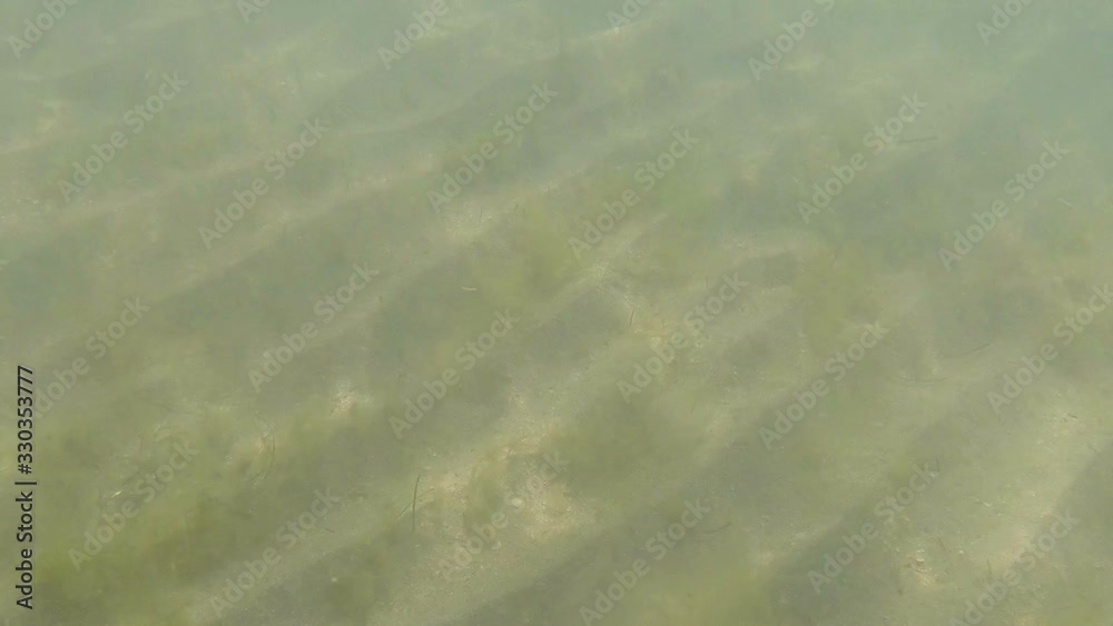 Transparent sea water sun glare on the sand. Transparent sea water sun glare on the sand.