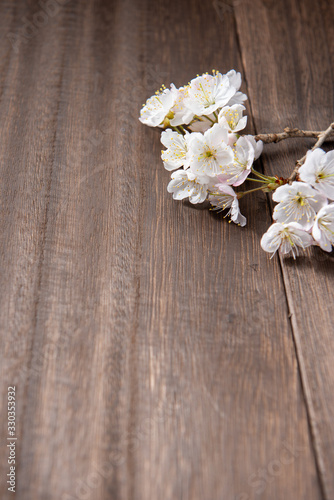 桜の花 © 歌うカメラマン