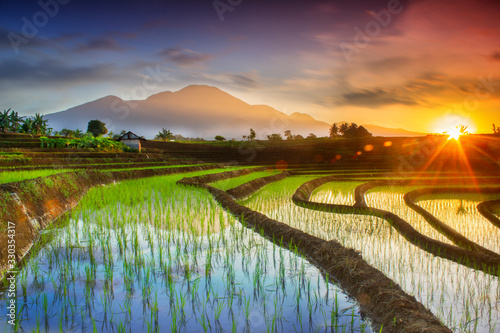 Landscape view beauty morning, beauty morning with sunrise and amazing sky at paddy fields in north bengkulu indonesia