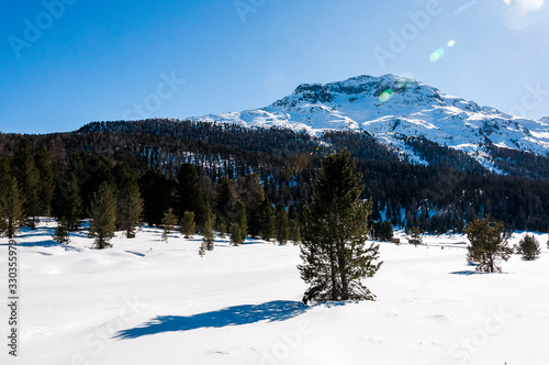St. Moritz, Stazerwald, Rosatschgruppe, Langlauf, Langlaufloipe, Stazersee, winter, wintersport, Wanderweg, Oberengadin, Alpen, Graubünden, Schweiz