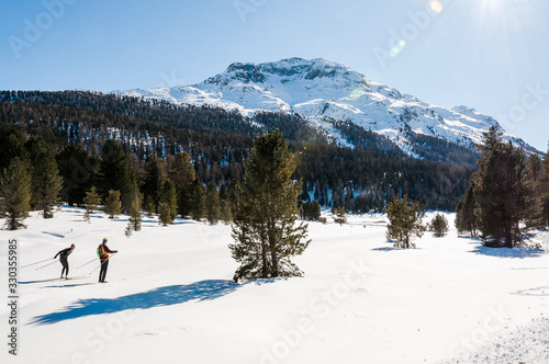 St. Moritz, Stazerwald, Rosatschgruppe, Langlauf, Langlaufloipe, Stazersee, winter, wintersport, Wanderweg, Oberengadin, Alpen, Graubünden, Schweiz