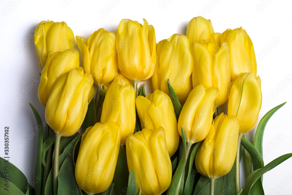 Close-up of a bouquet of yellow buds of beautiful tulips on a white background Close-up of a bouquet of yellow buds of beautiful tulips on a white background