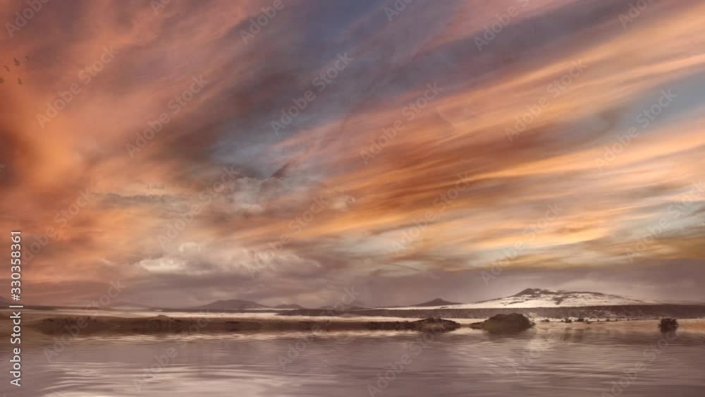 Flock of birds in beautiful clouds