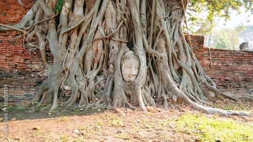 Wat Mahathat's Buddha Head Sits in Growing Tree Roots, Ayutthaya, Thailand.