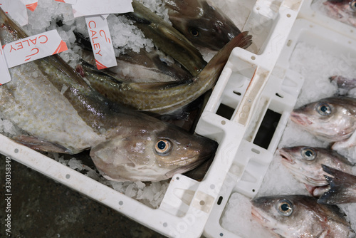 Peterhead, Scotland, Fish Market photo
